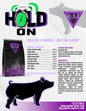 Hold On Bags
