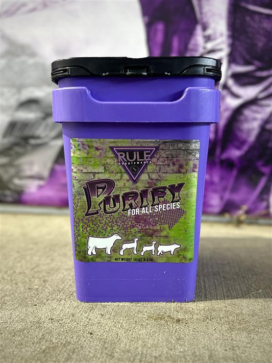 Purify