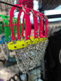 Goat Chain Halters