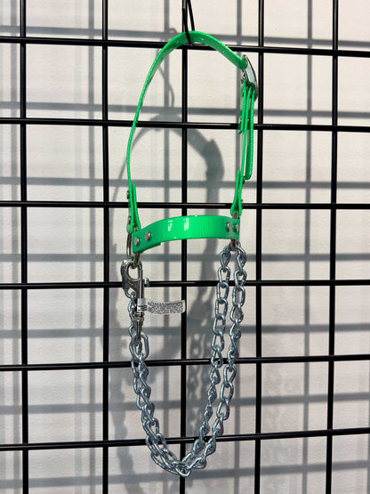 Goat Chain Halters