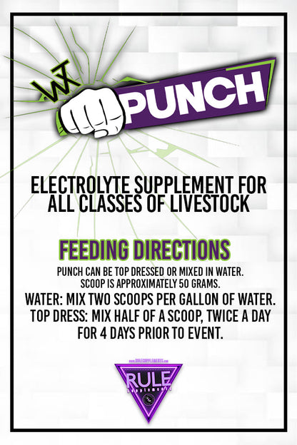 Wintex Punch